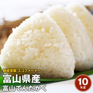 令和7年産 徳島県産コシヒカリ送料無料 阿波踊り米 白米10kg 5kg×2 父