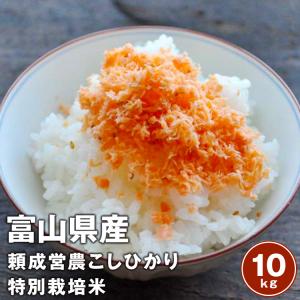 令和5年産 　富山県産頼成営農　富山コシヒカリ　特別栽培米般若米 10kg【5kg×2袋】【送料無料】※北海道、沖縄、離島は別途送料必要｜sanagochifarm