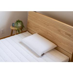 フランスベッド（FRANCEBED） ウミガメピロー CPAP用枕 360296000