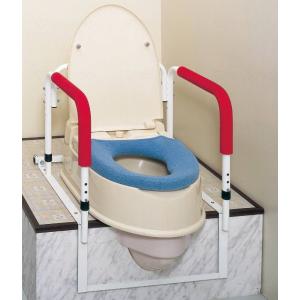 molten (モルテン) ルーツスモール トイレ手すり 片手タイプ MNTPT1