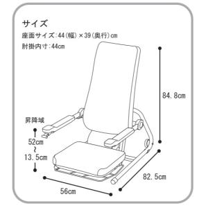 (コムラ製作所) 独立宣言プリモ DSPRII...の詳細画像3