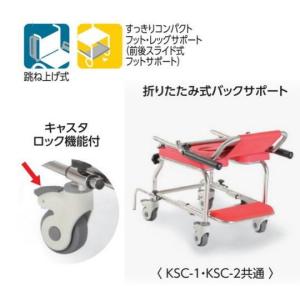 (カワムラサイクル) KSC-1/ST クリあ...の詳細画像2