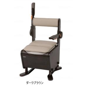 (パナソニック) 家具調トイレ 座楽 ひじ掛けはねあげ PN-L23406 プラスチック便座 ポータ...