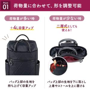 スワニー キャリーバッグ 高齢者 買い物カート...の詳細画像2