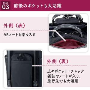 スワニー キャリーバッグ 高齢者 買い物カート...の詳細画像4