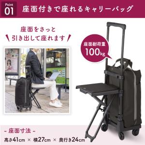 スワニー キャリーバッグ 高齢者 座れる D-...の詳細画像2
