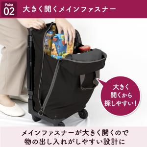 スワニー キャリーバッグ 高齢者 座れる D-...の詳細画像3