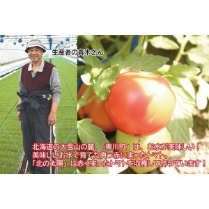 北海道産直 トマトジュース 無塩 食塩無添加 ...の詳細画像2