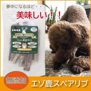 数量限定!北海道産 エゾ鹿の角 小型犬用2〜4本入り 鹿角(シカつの