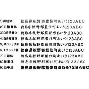 枠付ゴム印 大 10mm×45mmまで オーダ...の詳細画像2