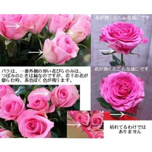 ピンクバラ【本数指定でピンクバラの花束】出来ま...の詳細画像3