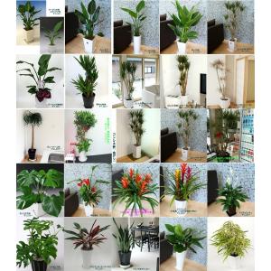 黒柿　飾り台　花台 黒柿輪切り牡丹杢ポリウレタン仕上げ漆塗り飾り台 木製 飾り台 脚付き