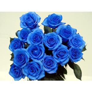 ”ベンデラブルー”青いバラ 青バラ　生花　誕生日の花　プレゼント　通販　１本から買えます　３種類の青...