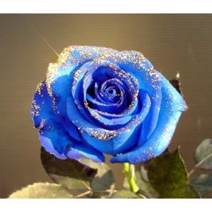 ラメ付きベンデラブルー青バラ　花言葉は・・・不可能/有り得ない神の祝福/奇跡【誕生日】【花】青いバラ...