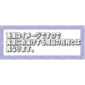 御供アレンジメント 生花 法事 3回忌 ペット...の詳細画像1