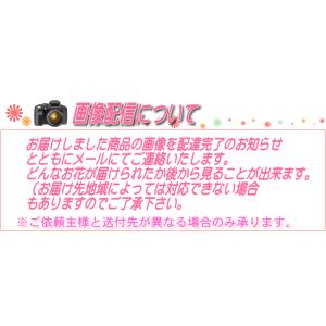 御供アレンジメント 生花 法事 3回忌 ペット...の詳細画像3