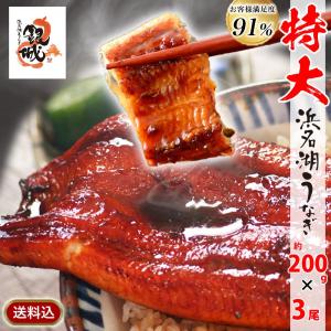 【値下げしました】【無添加タレの浜名湖うなぎ】蒲焼き 特大200g×3本ギフト【送料無料】 浜名湖産　国内産 静岡県産 昔ながら 本格　誕生日プレゼント 母の日｜sanboshi