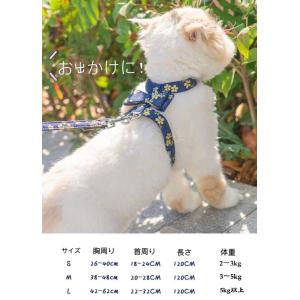 アズミラ（Azmira） サプリメント Bコンプレックス 20カプセル 犬猫用