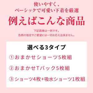 福袋 2026 下着 福袋 レディース ショ-...の詳細画像3