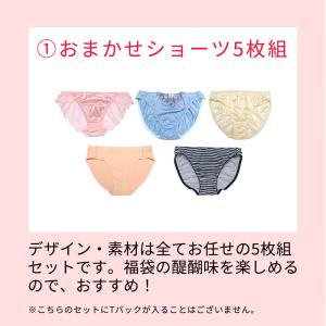 福袋 2026 下着 福袋 レディース ショ-...の詳細画像4