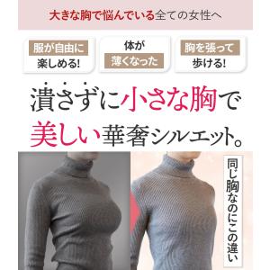 ブラジャー ショーツ セット ルルスマートブラ...の詳細画像5