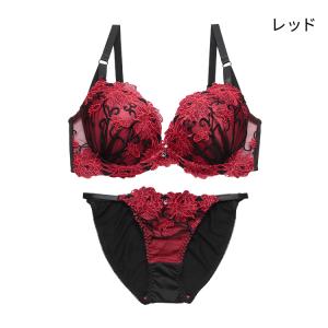 下着女性 上下セット ブラジャー ショーツセッ...の詳細画像5