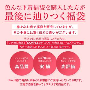 選べるブラセット ブラジャー ショーツセット ...の詳細画像4