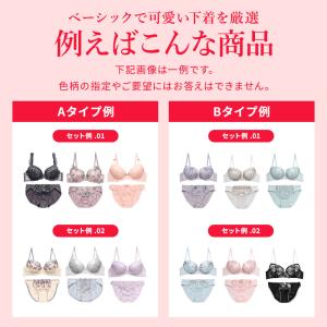 選べるブラセット ブラジャー ショーツセット ...の詳細画像2