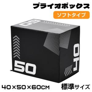 5%OFFクーポン】プライオボックス ソフト 40×50×60cm プライオ