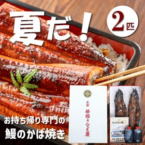 【佐賀県】鹿島【本家】峰松うなぎ屋「うなぎの蒲焼180〜200g （2匹入り）」｜sanchidirect