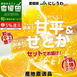 愛媛県より産地直送 JAにしうわ 甘平＆せとかセット 良品 ちょっと訳あり 合計6キロ（3キロ×2箱）　送料無料 かんぺい セトカ  西宇和 八幡浜