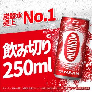アサヒ ウィルキンソン タンサン 250ml缶...の詳細画像2