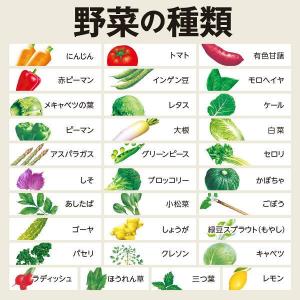 【送料無料(※東北・北海道・沖縄除く)】【3ケ...の詳細画像3