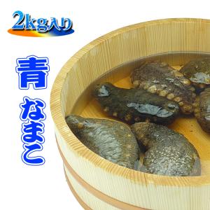 瀬戸内海産の青ナマコ2kg/なまこ/海鼠/乾燥なまこ/活き海鼠