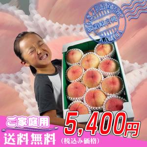 飯山の桃【中玉サイズ】約3,5kg~　香川の桃【ご家庭用のもも】飯山町の桃の通販。販売店