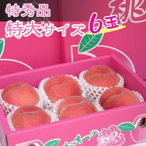 香川県産のもも　飯山の特秀品の桃　その名も［さぬきの光］6個の詰め合わせ