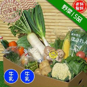 産直あきんど厳選野菜の詰め合わせ15品セット+牛乳2本セット　送料無料