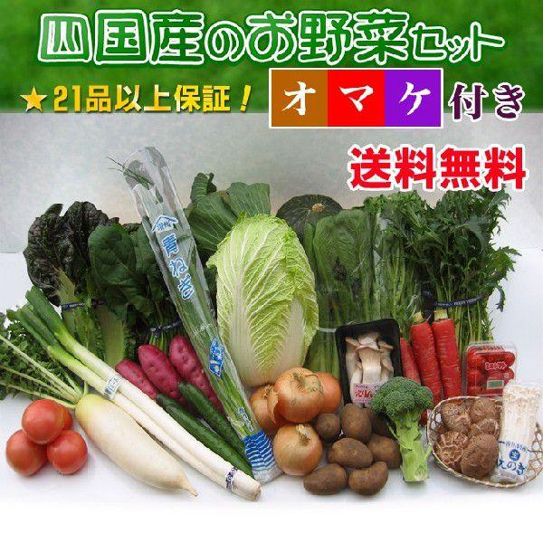 産直あきんど厳選野菜の詰め合わせ21品+秘密のオマケ付き　送料無料