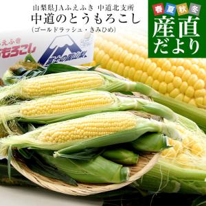 山梨県より産地直送　JAふえふき中道北支所　選べるとうもろこし(ゴールドラッシュ、きみひめ) 約2.5キロ2Lサイズ(6本入)　送料無料　クール便｜産直だより