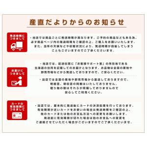 山梨県より産地直送 山梨JAふえふき中道支所 ...の詳細画像5