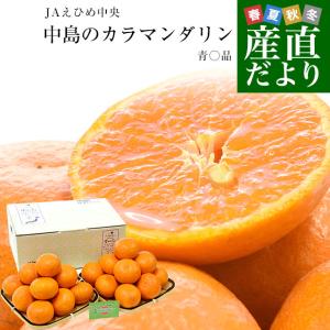 愛媛県産 JAえひめ中央 中島のカラマンダリン ...の商品画像