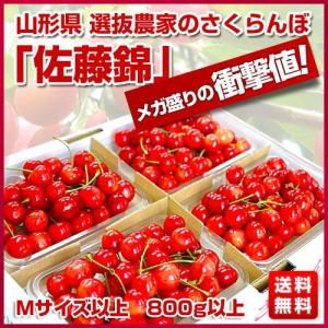 山形県 選抜農家のさくらんぼ「佐藤錦」が登場！Mサイズ以上800ｇ以上の大ボリュームでお届け