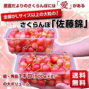 山形産　東根　さくらんぼ「佐藤錦」 Lサイズ以上　1キロ(500g×2）⇒3,980円・送料無料