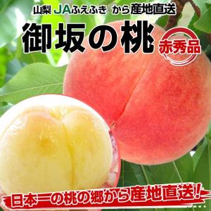 JAふえふき 御坂の桃（赤秀品）産地直送品 5キロ（15玉〜20玉）1箱 もも　モモ