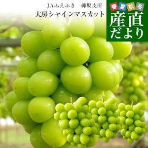 山梨県産 JAふえふき 御坂支所 シャインマスカット 大房限定 青秀品 約1.8キロ（3房入り）送料無料 クール便発送 葡萄 ぶどう