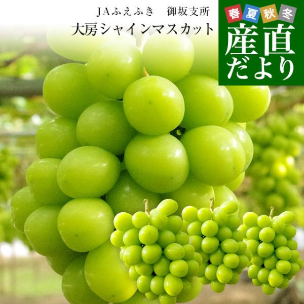 山梨県産　JAふえふき　御坂支所　シャインマスカット　大房限定　青秀品　約1.8キロ（3房入り）送料...