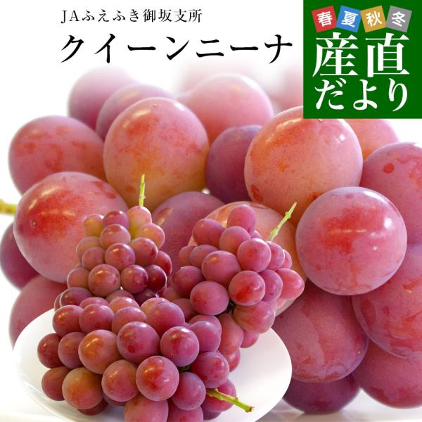 山梨県産 JAふえふき 御坂支所 クイーンニーナ 赤秀品以上 約1.5キロ（3房入り）送料無料　赤ぶ...