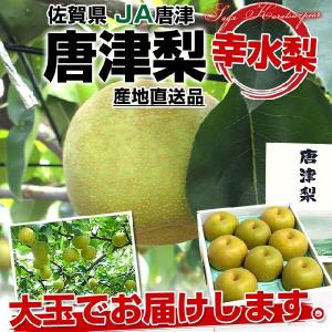 佐賀　JAからつ　唐津梨（幸水梨）約2.5キロ3Lから4L（6玉から8玉）なし 梨 ナシ