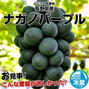 長野県産 ナガノパープル 約900g（450g×2房）ぶどう　ブドウ　葡萄
