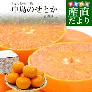 愛媛県産　JAえひめ中央　中島のせとか 青秀以上　3ＬからLサイズ　2.5キロ　 送料無料 柑橘 オレンジ 松山 愛媛中央農協